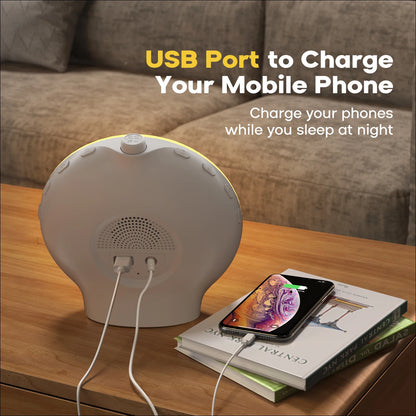 Digital Wake Up Light Alarm Clock with FM Radio