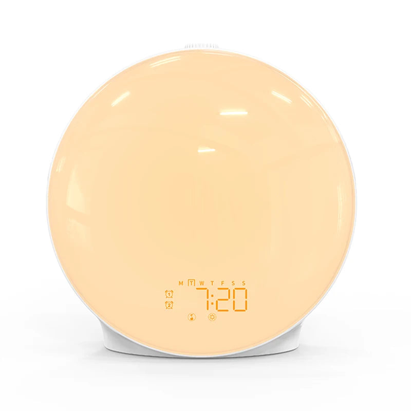 Digital Wake Up Light Alarm Clock with FM Radio
